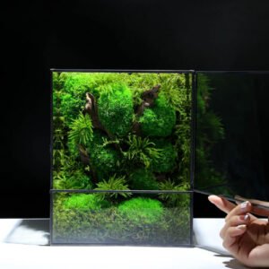 Real moss terrarium preserved moss art terrarium for eco friendly home decor