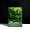 Real moss terrarium preserved moss art terrarium for eco friendly home decor