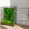 Real moss terrarium preserved moss art terrarium for eco friendly home decor