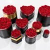 抱抱桶5 Real rose flowers gift preserved roses flower box for Valentine's Day Christmas