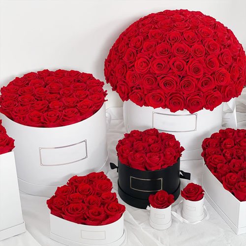 Eternal roses in box forever flower, gift for women