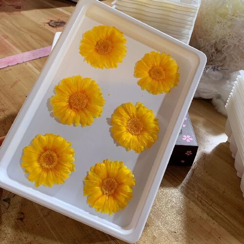 Natural Real Dried Flowers Gerbera Preserved Daisy Sunflower Flower Heads,6-7cm