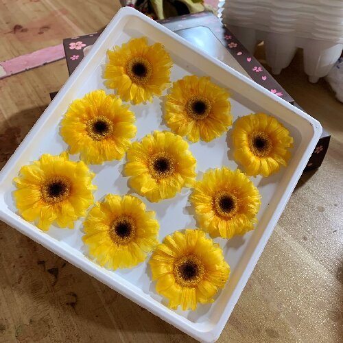 Eternal gerbera flower daisy flowers head, 5-6cm