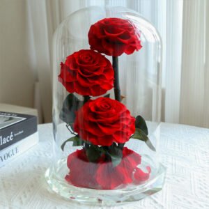 Eternal roses in a glass dome natural roses with crystal base, 3 roses