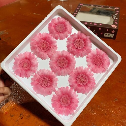 Eternal gerbera flower daisy flowers head, 5-6cm