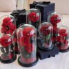Wholesale forever roses in glass dome, real rose