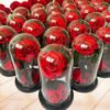 Wholesale forever roses in glass dome, real rose