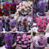Wholesale forever roses in glass dome, real rose