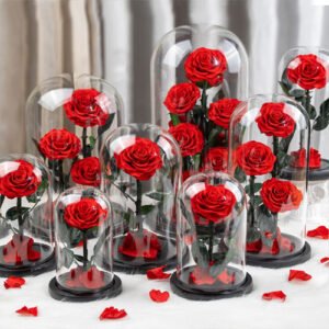 Preserved roses eternal forever flower in glass dome