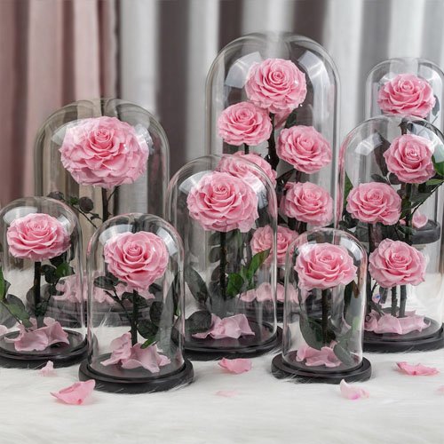 Preserved roses eternal forever flower in glass dome
