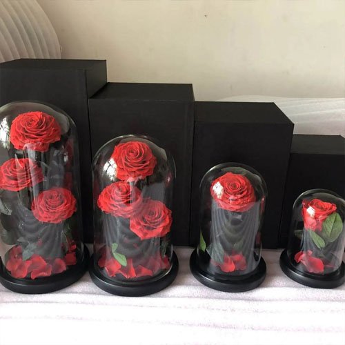 Preserved roses eternal forever flower in glass dome