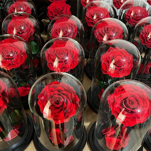 Preserved roses eternal forever flower in glass dome