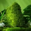 白发藓天然主图1 Natural Preserved Bun Moss for Decorative Terrariums Gardening Art Wall Decor