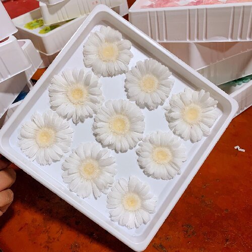 Eternal gerbera flower daisy flowers head, 5-6cm