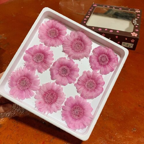 Eternal gerbera flower daisy flowers head, 5-6cm