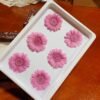 Natural Real Dried Flowers Gerbera Preserved Daisy Sunflower Flower Heads,6-7cm