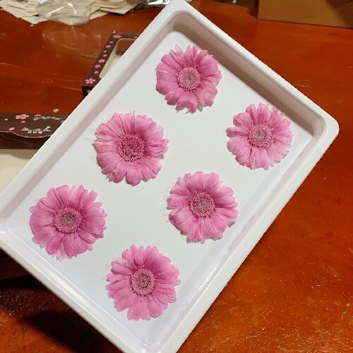 Natural Real Dried Flowers Gerbera Preserved Daisy Sunflower Flower Heads,6-7cm