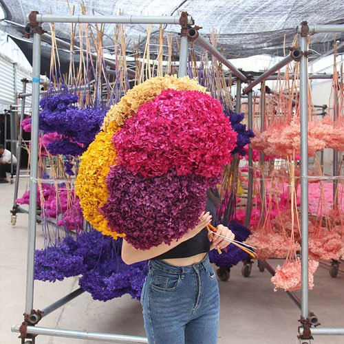 Dried Flower Preserved Hydrangeas with Stem for Wedding Decoration Flower Arrangements