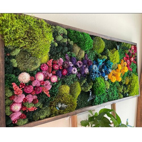 Natural moss preserved moss wall art indoor decoration