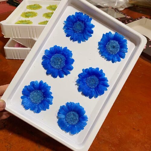 Natural Real Dried Flowers Gerbera Preserved Daisy Sunflower Flower Heads,6-7cm