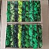 Preserved Moss for Plant Wall Micro-Landscape Decoration DIY Floral Materials Reindeer Moss