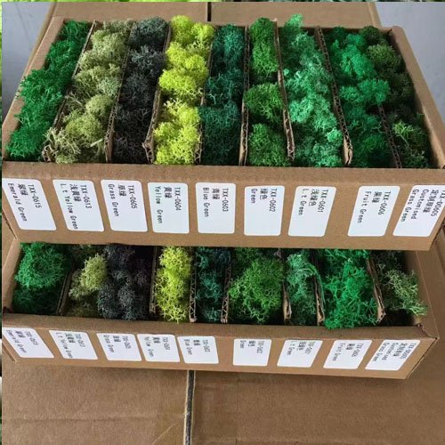 Preserved Moss for Plant Wall Micro-Landscape Decoration DIY Floral Materials Reindeer Moss