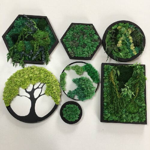 Preserved Moss for Plant Wall Micro-Landscape Decoration DIY Floral Materials Reindeer Moss