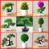 Mini Creative Potted Flower Ornaments Artificial Plant Small for Office Decoration