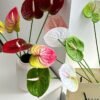 Artificial Flowers Real Touch Artificial Anthurium Flowers